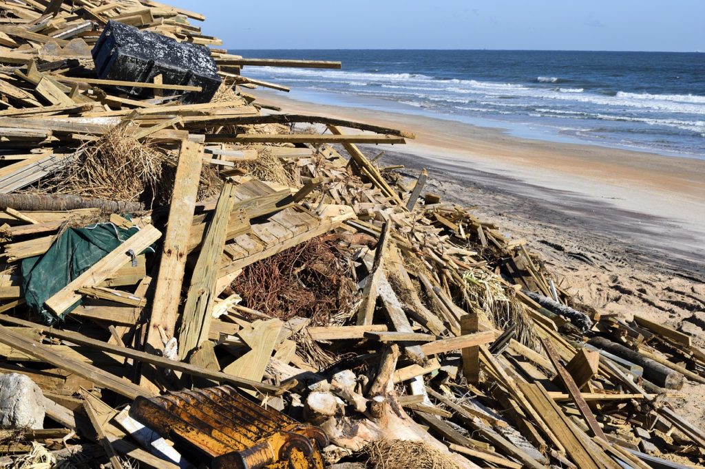 wood debris on the shore from hurricane