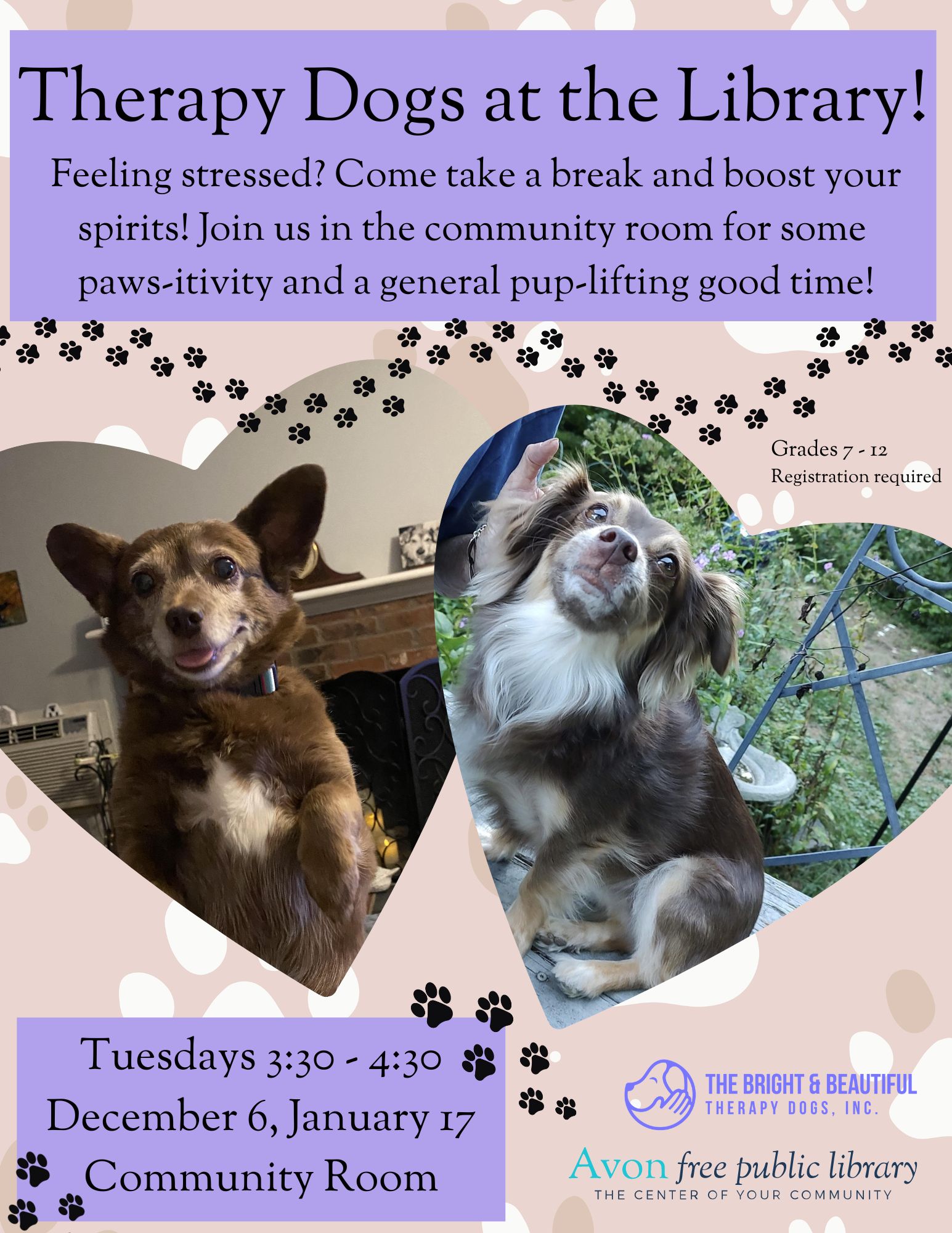 Therapy Dog Visit Session One Avon Free Public Library